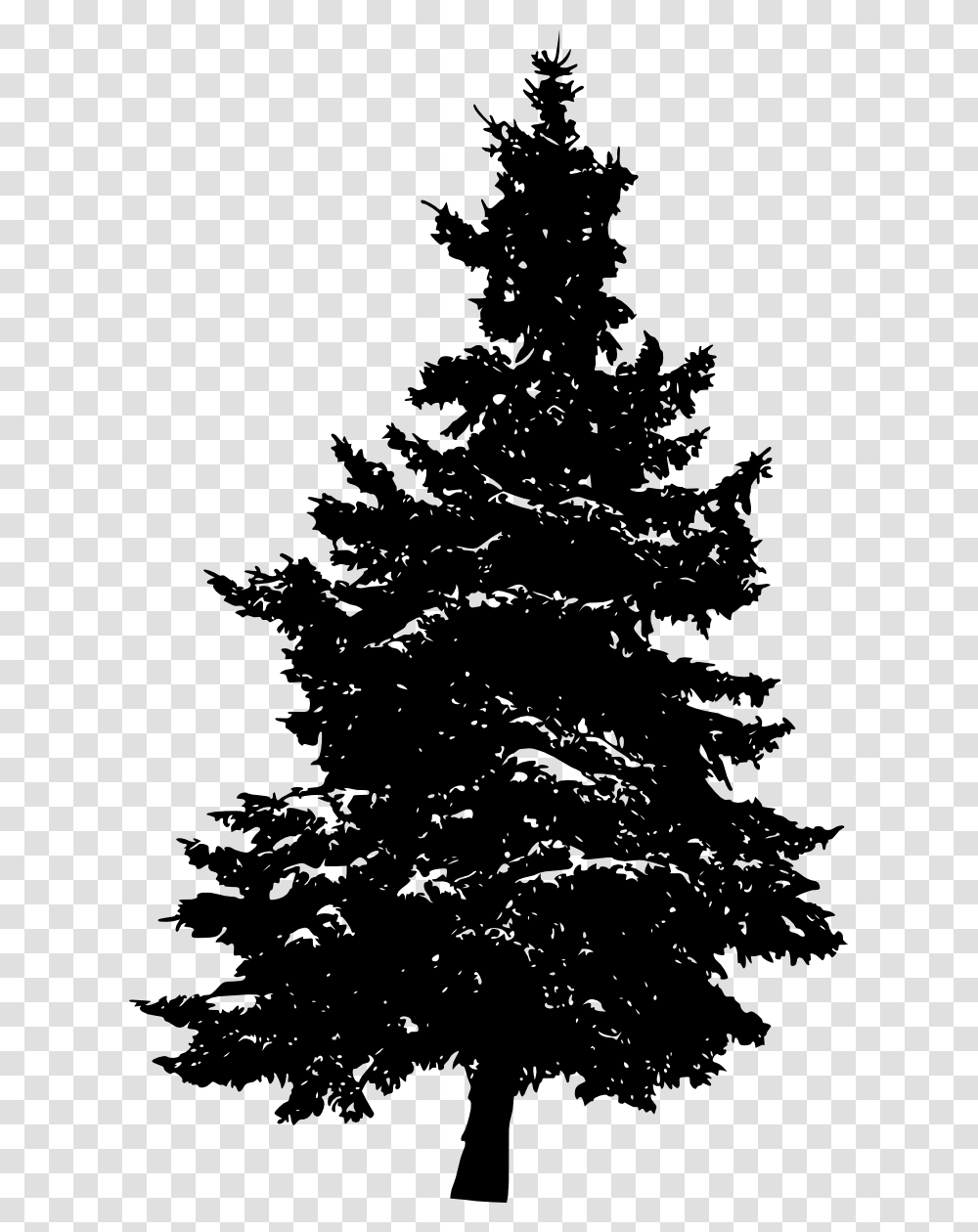 Pine Silhouette Fir Tree Silhouette Of A Pine Tree, Plant, Christmas Tree, Ornament, Abies Transparent Png
