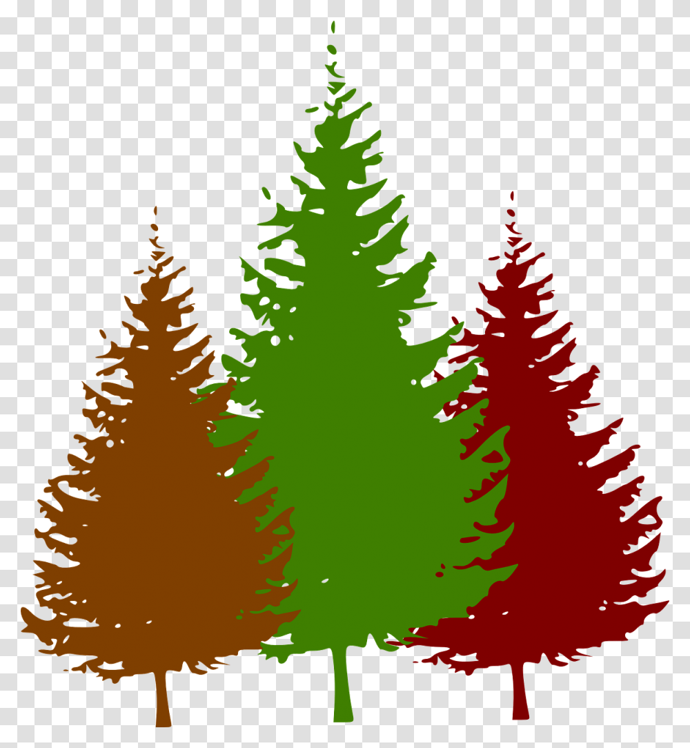 Pine Tree Black And White, Plant, Ornament, Christmas Tree, Fir Transparent Png