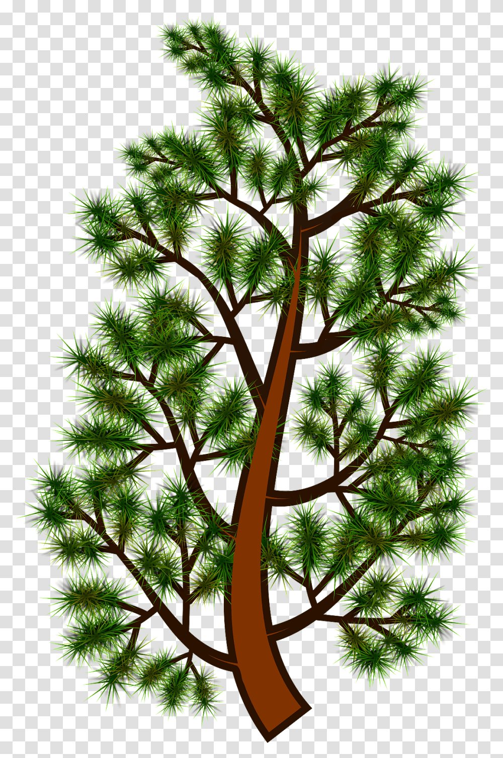 Pine Tree Branch 06052016 1 Clipart Tallo Del Pino, Plant, Potted Plant, Vase, Jar Transparent Png