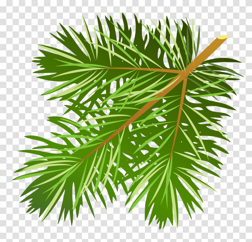 Pine Tree Branch Clip Art Clip Art Pine Needles, Leaf, Plant, Maple Leaf, Grass Transparent Png