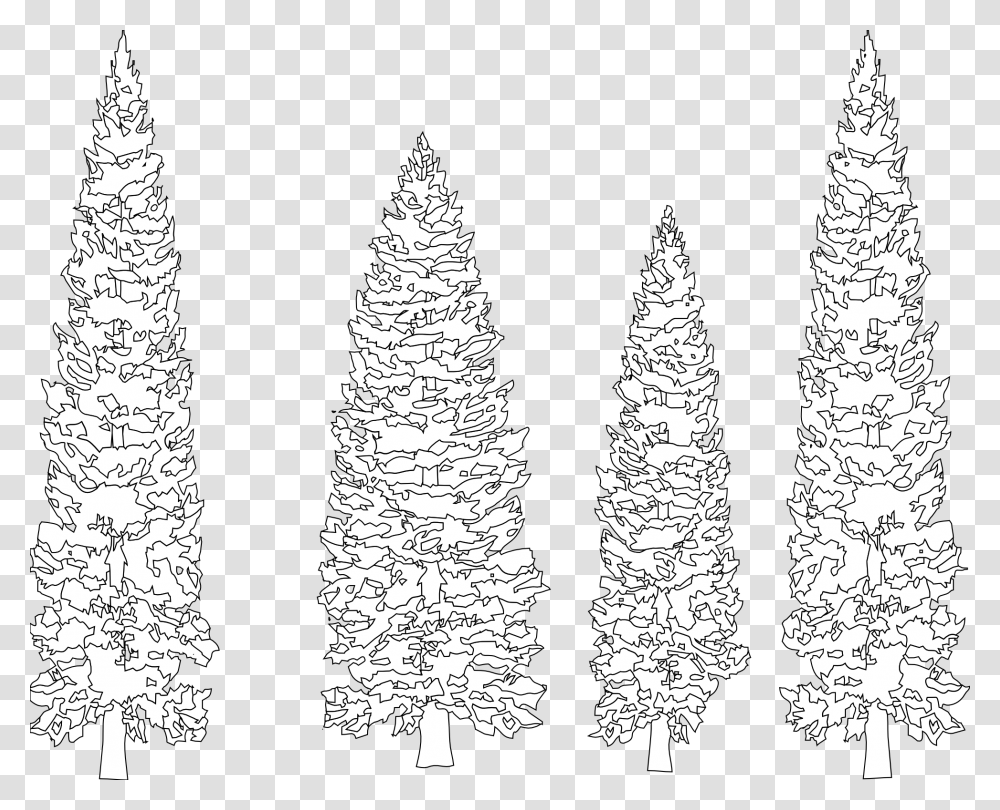 Pine Tree Clip Art Black And White White Pine Tree Vector, Plant, Stencil Transparent Png