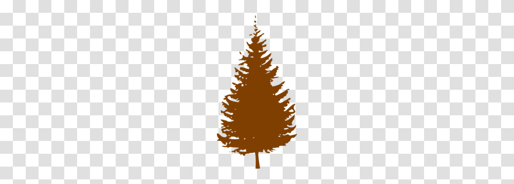 Pine Tree Clip Art For Web, Plant, Ornament, Christmas Tree Transparent Png