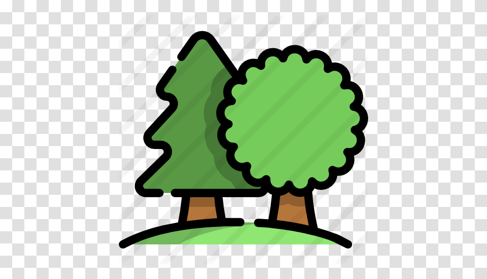 Pine Tree Clip Art, Leaf, Plant, Green, Text Transparent Png