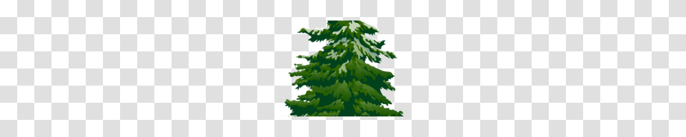 Pine Tree Clip Art Pine Trees Clip Art, Plant, Christmas Tree, Ornament, Fir Transparent Png