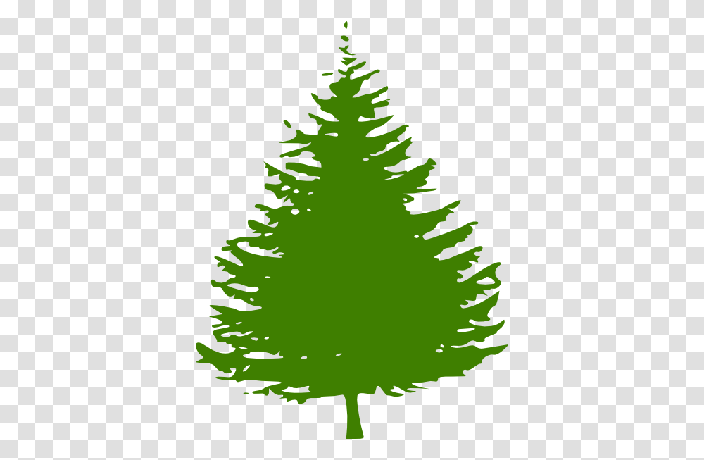 Pine Tree Clip Art, Plant, Christmas Tree, Ornament, Fir Transparent Png