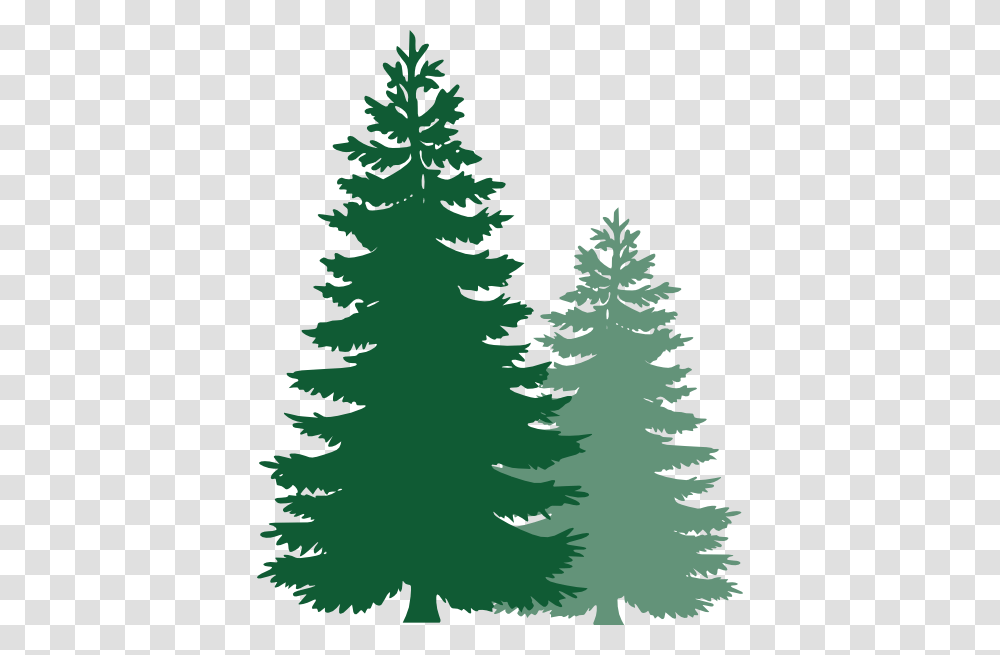 Pine Tree Clip Art, Plant, Christmas Tree, Ornament, Fir Transparent Png