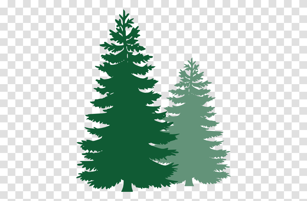 Pine Tree Clip Art, Plant, Christmas Tree, Ornament, Fir Transparent Png