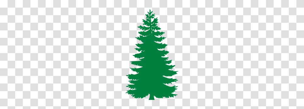 Pine Tree Clip Art, Plant, Ornament, Christmas Tree, Poster Transparent Png