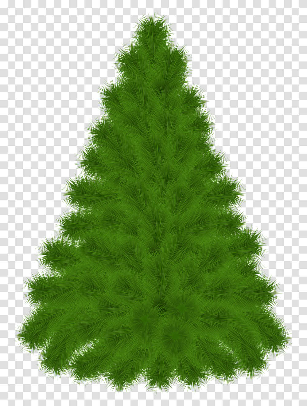 Pine Tree Clip Art Transparent Png