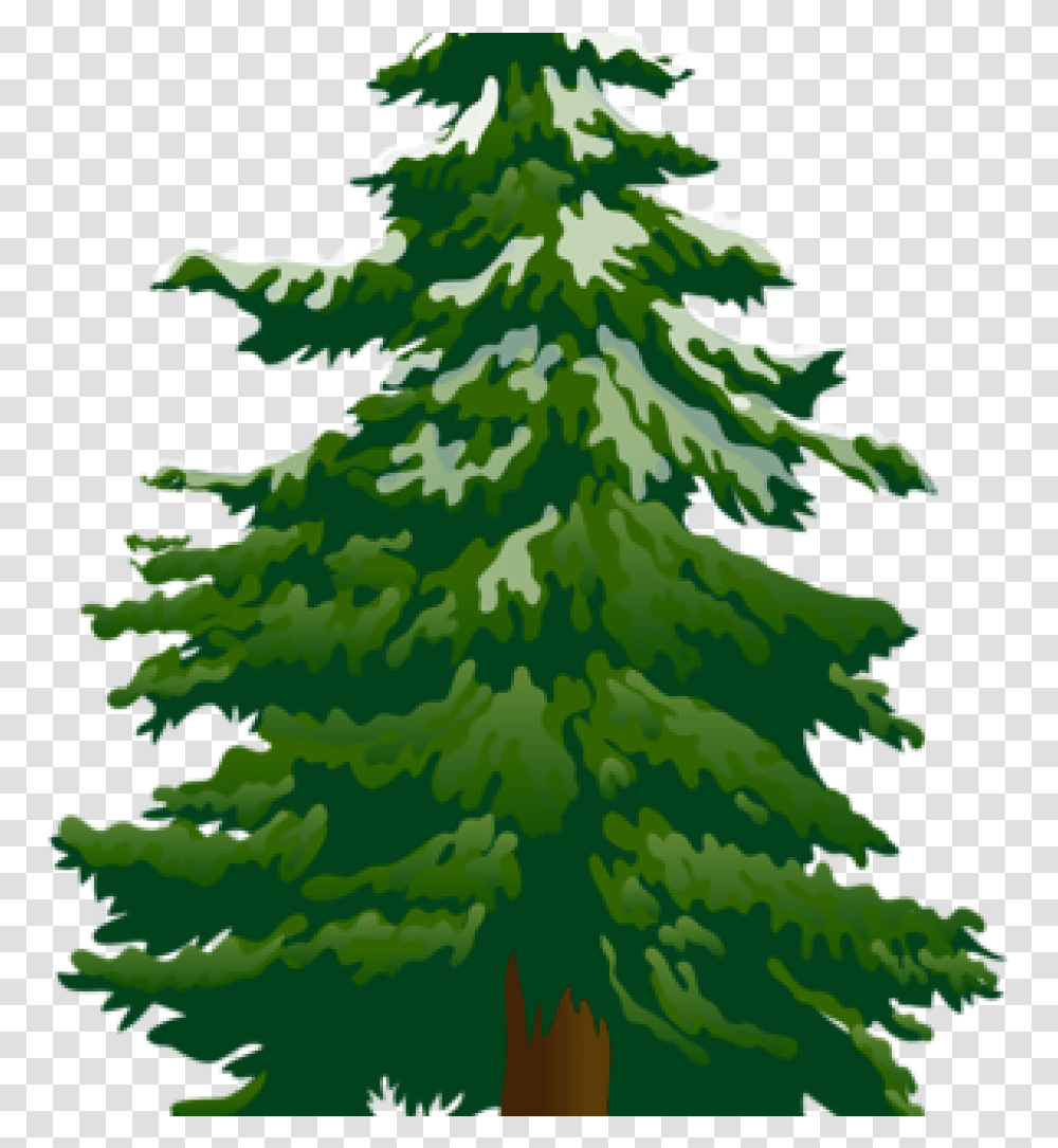 Pine Tree Clip Art Tree Clip Art Snowy Pine Tree Clipart Background Pine Tree Clipart, Plant, Fir, Abies, Ornament Transparent Png