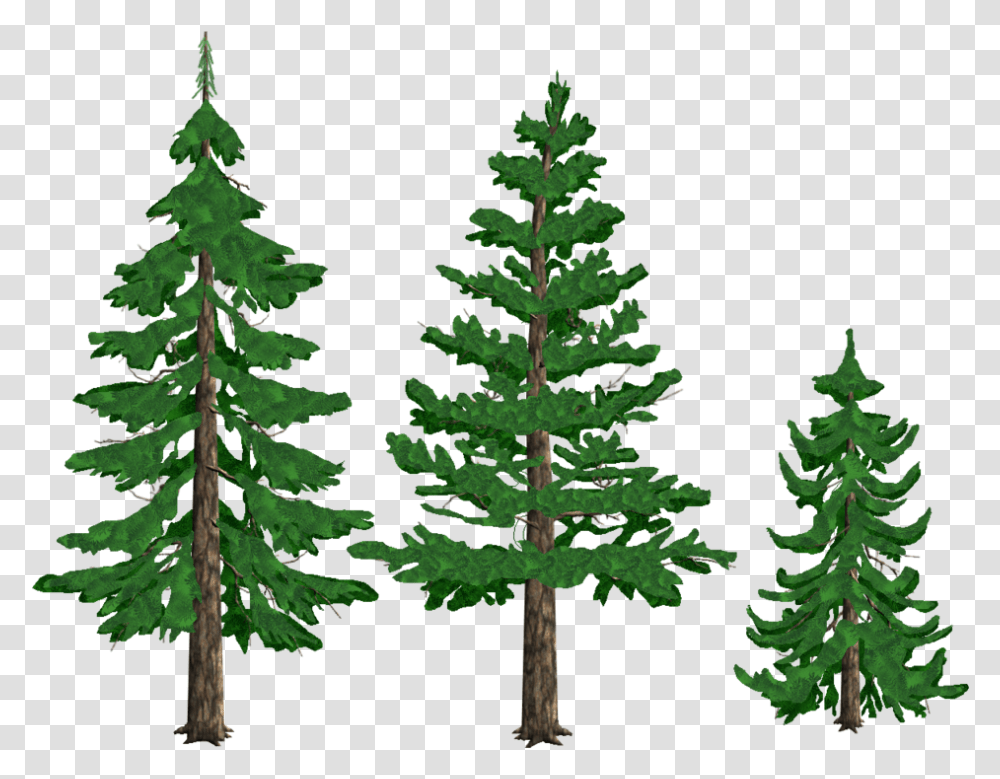 Pine Tree Clipart Background Free Clip Art Pine Tree Clipart, Plant, Fir, Abies, Conifer Transparent Png