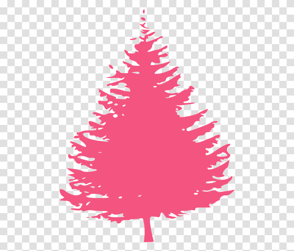 Pine Tree Clipart Black And White, Plant, Ornament, Christmas Tree Transparent Png