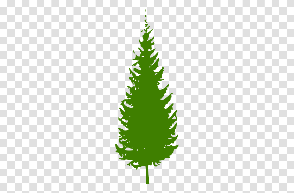 Pine Tree Clipart Clip Art, Christmas Tree, Ornament, Plant Transparent Png