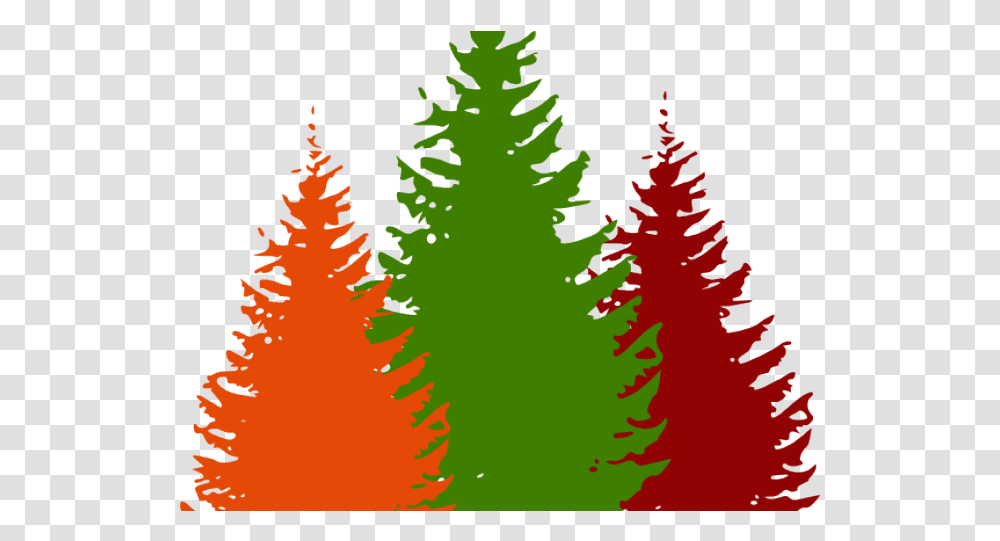 Pine Tree Clipart Forest Pine Tree Vector Free, Plant, Ornament, Christmas Tree, Fir Transparent Png