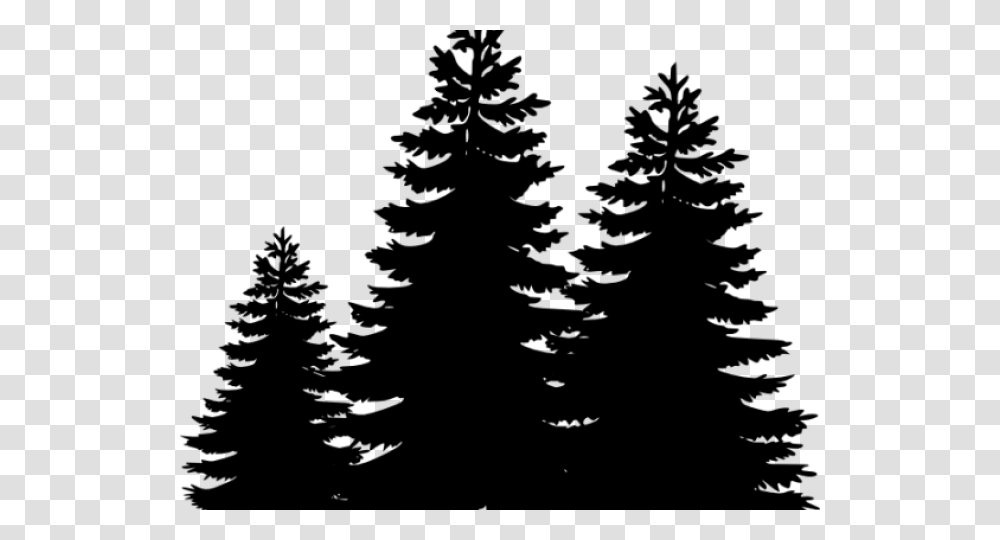 Pine Tree Clipart Loblolly Pine Clipart Pine Trees Silhouette, Gray, World Of Warcraft Transparent Png