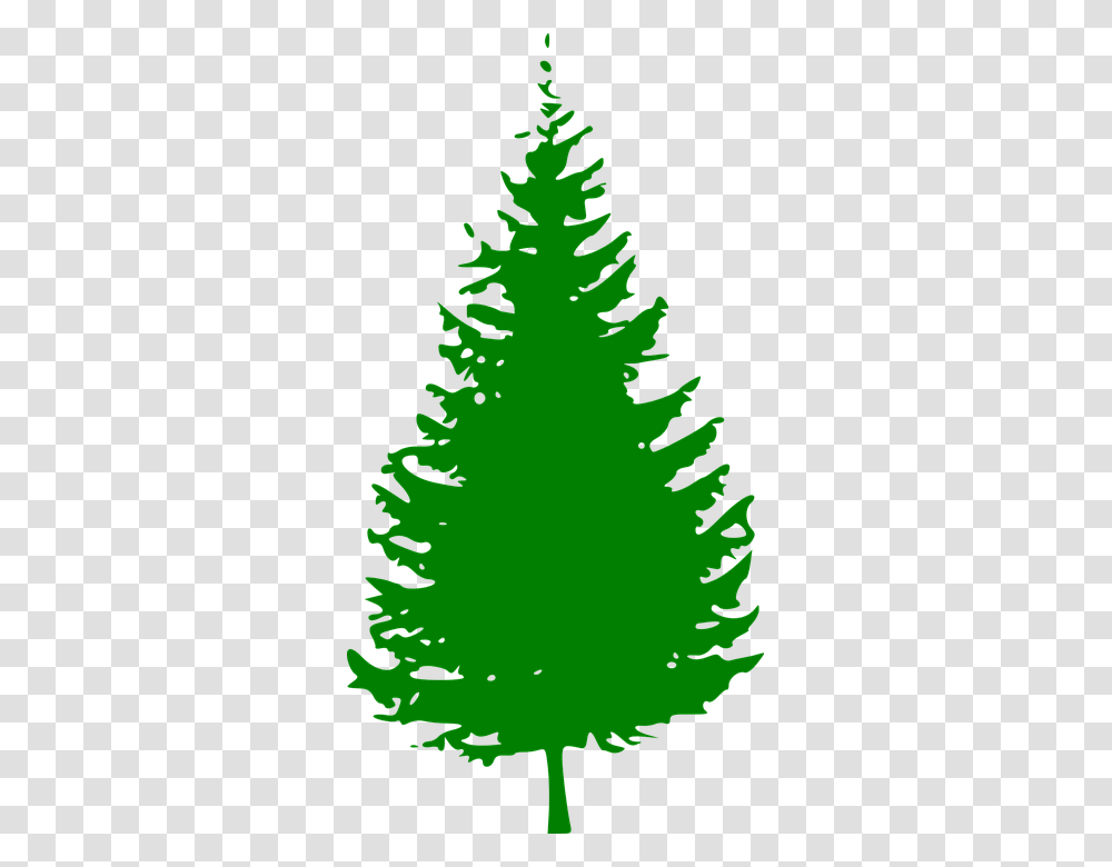 Pine Tree Clipart Panda Free Clipart Images Pine Tree Vector, Plant, Ornament, Christmas Tree, Fir Transparent Png