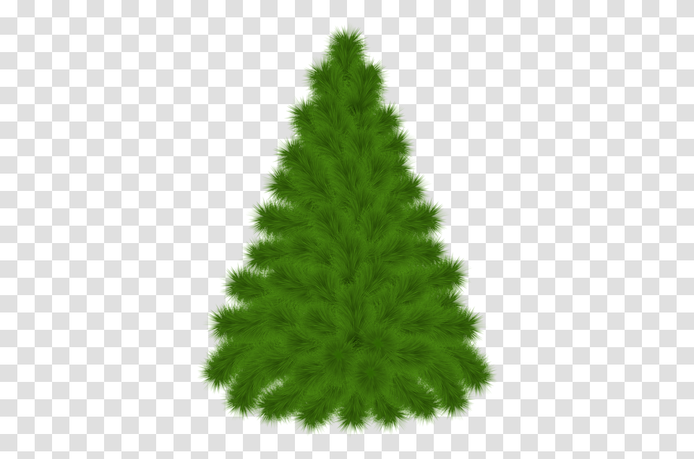 Pine Tree Clipart Picture Pine, Christmas Tree, Ornament, Plant Transparent Png