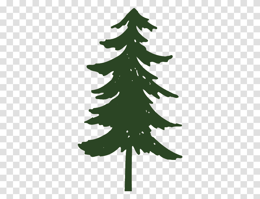 Pine Tree Clipart Pine Tree Images Clip Art, Plant, Fir, Abies, Conifer Transparent Png