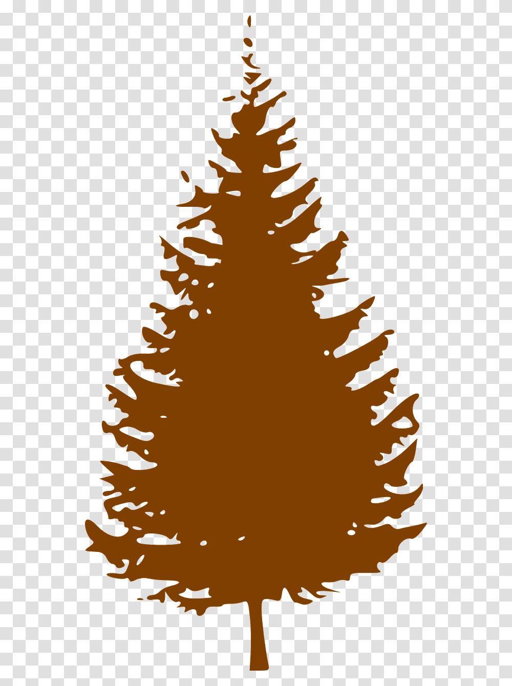Pine Tree Clipart, Plant, Ornament, Christmas Tree, Bird Transparent Png