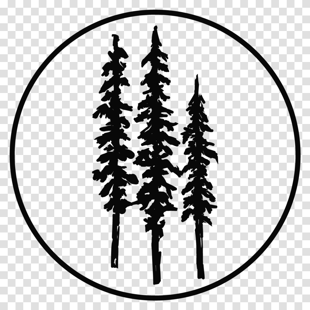 Pine Tree Clipart River Tree Forest Tree Silhouette Clipart, Plant, Stencil Transparent Png