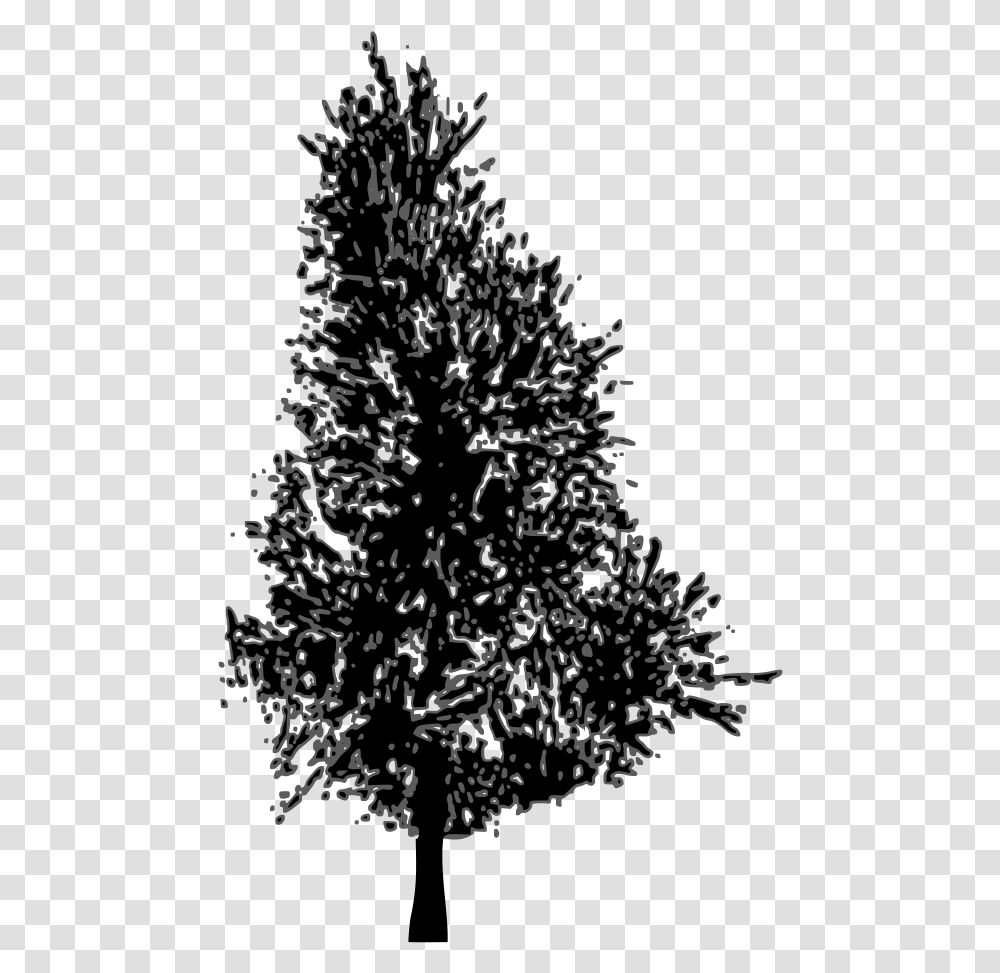 Pine Tree Clipart Silhouette Graphic Library Pine Tree Silhouette Vector Pine Trees, Plant, Ornament, Christmas Tree Transparent Png