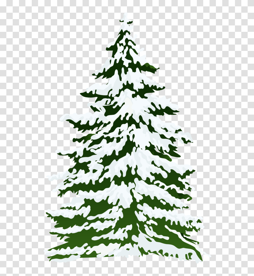 Pine Tree Clipart Snow Background Clip Art Wedding, Plant, Christmas Tree, Ornament, Fir Transparent Png