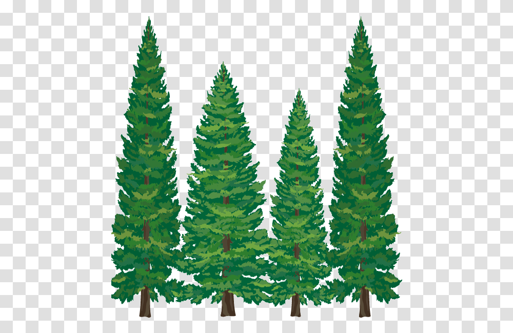 Pine Tree Clipart Softwood Cartoon Pine Tree Pine Tree Clipart, Plant, Fir, Abies, Conifer Transparent Png