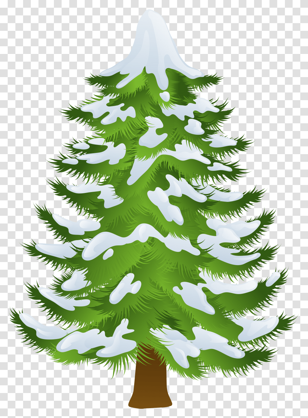 Pine Tree Clipart Transparent Png