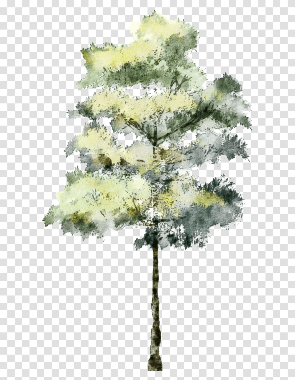 Pine Tree, Cross, Ice, Outdoors, Nature Transparent Png