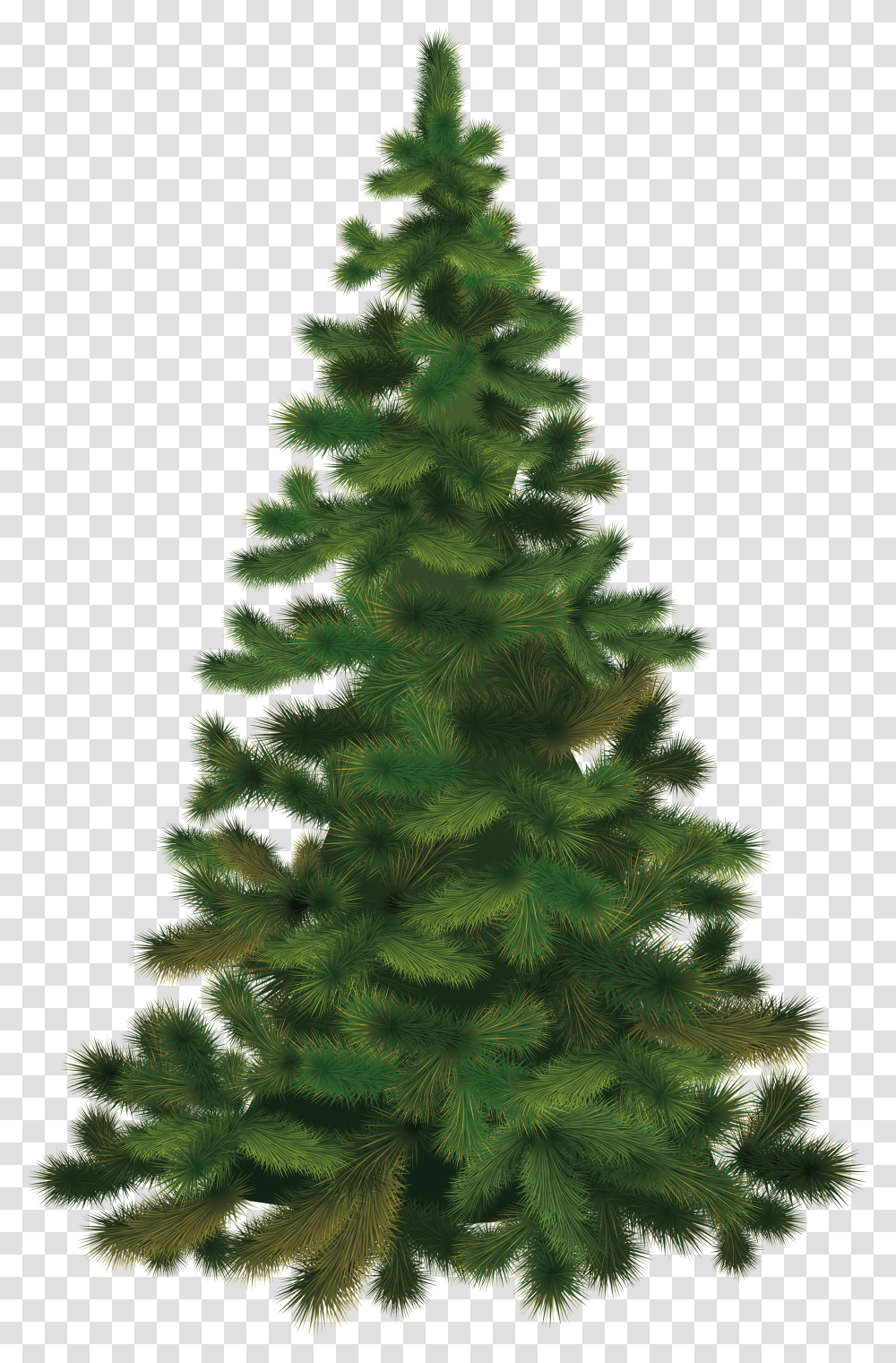 Pine Tree Evergreen Clip Art Background Transparent Png