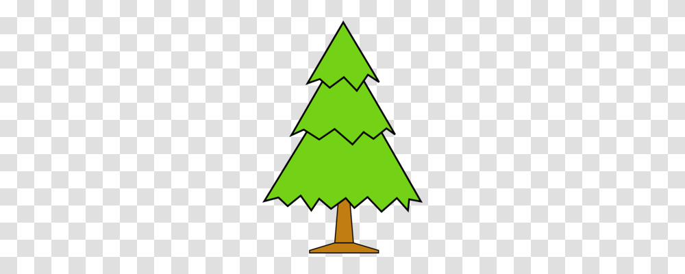 Pine Tree Fir Conifers Oak, Plant, Ornament, Christmas Tree, Star Symbol Transparent Png