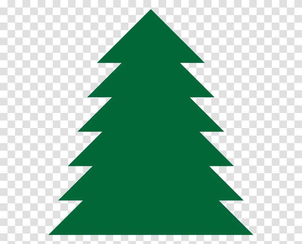 Pine Tree Fir Drawing Spruce, Plant, Ornament, Star Symbol Transparent Png