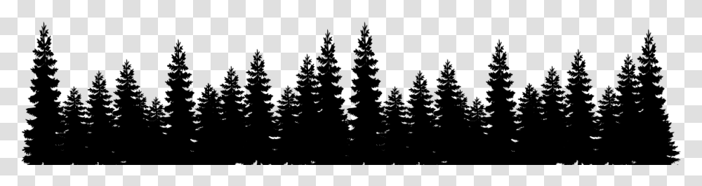 Pine Tree Forest Silhouette, Gray, World Of Warcraft Transparent Png