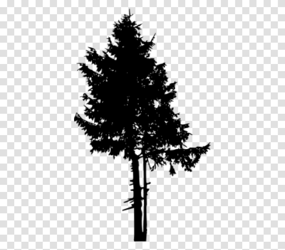 Pine Tree Free Tree Silhouette Fall, Plant, Fir, Cross Transparent Png