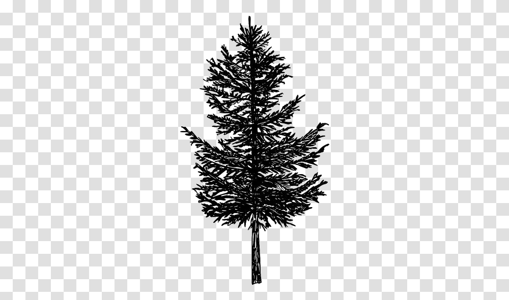 Pine Tree Images Pine Tree Silhouette Background, Plant, Ornament, Cross Transparent Png