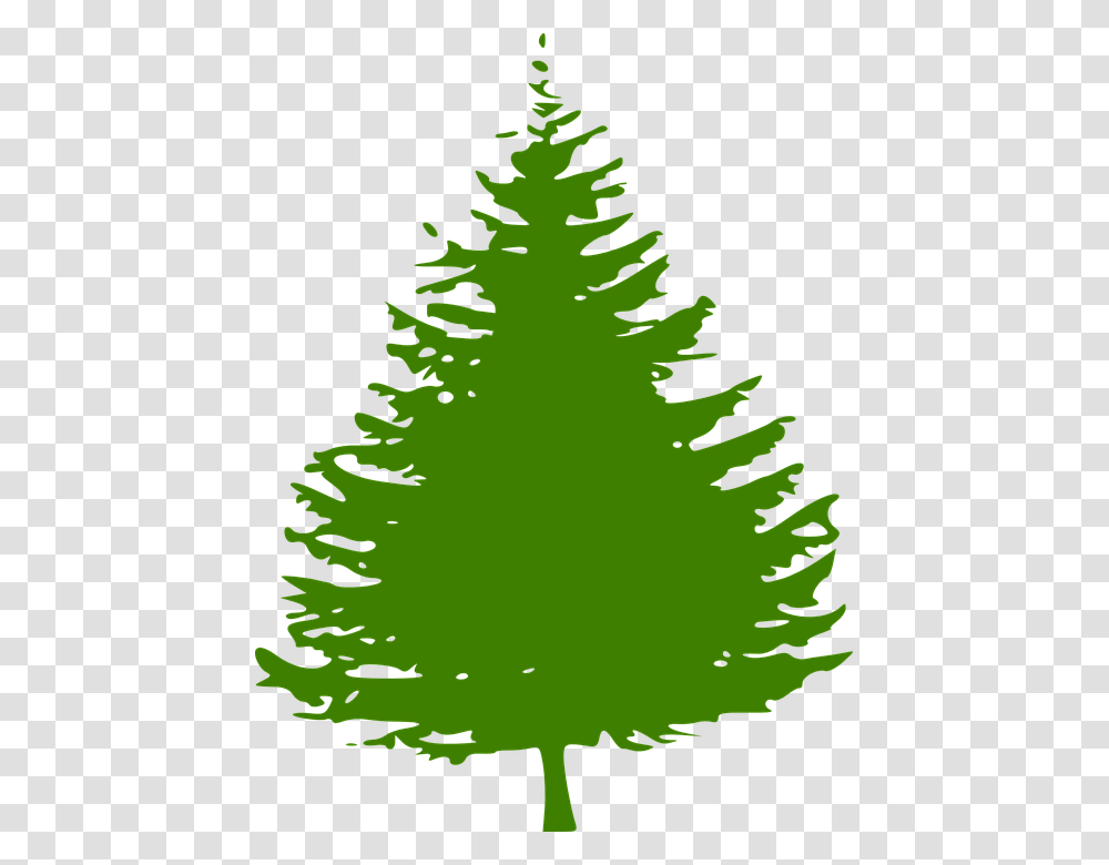 Pine Tree Logo Clipart Best Pine Tree Vector, Plant, Ornament, Christmas Tree, Fir Transparent Png