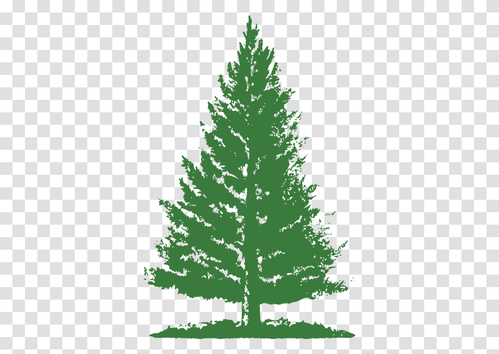 Pine Tree Logo Picture Pine Tree Logo, Plant, Ornament, Christmas Tree, Conifer Transparent Png