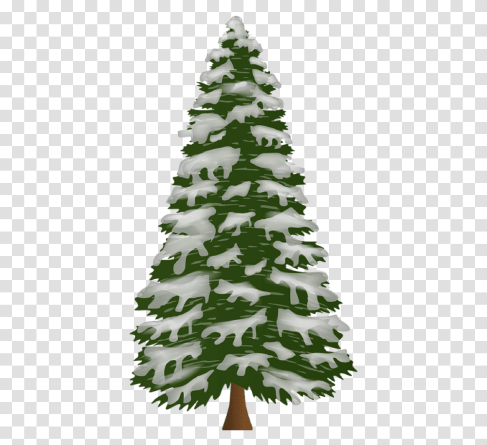 Pine Tree Portable Network Graphics, Plant, Ornament, Christmas Tree, Fir Transparent Png