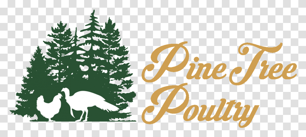 Pine Tree Poultry Pine Tree Farm Logo, Plant, Text, Fir, Bird Transparent Png