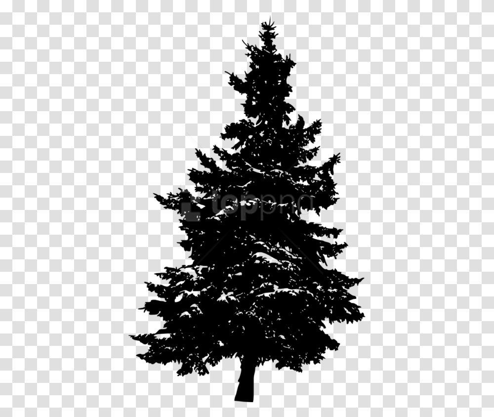 Pine Tree Silhouette Background, Plant, Christmas Tree, Ornament, Stencil Transparent Png
