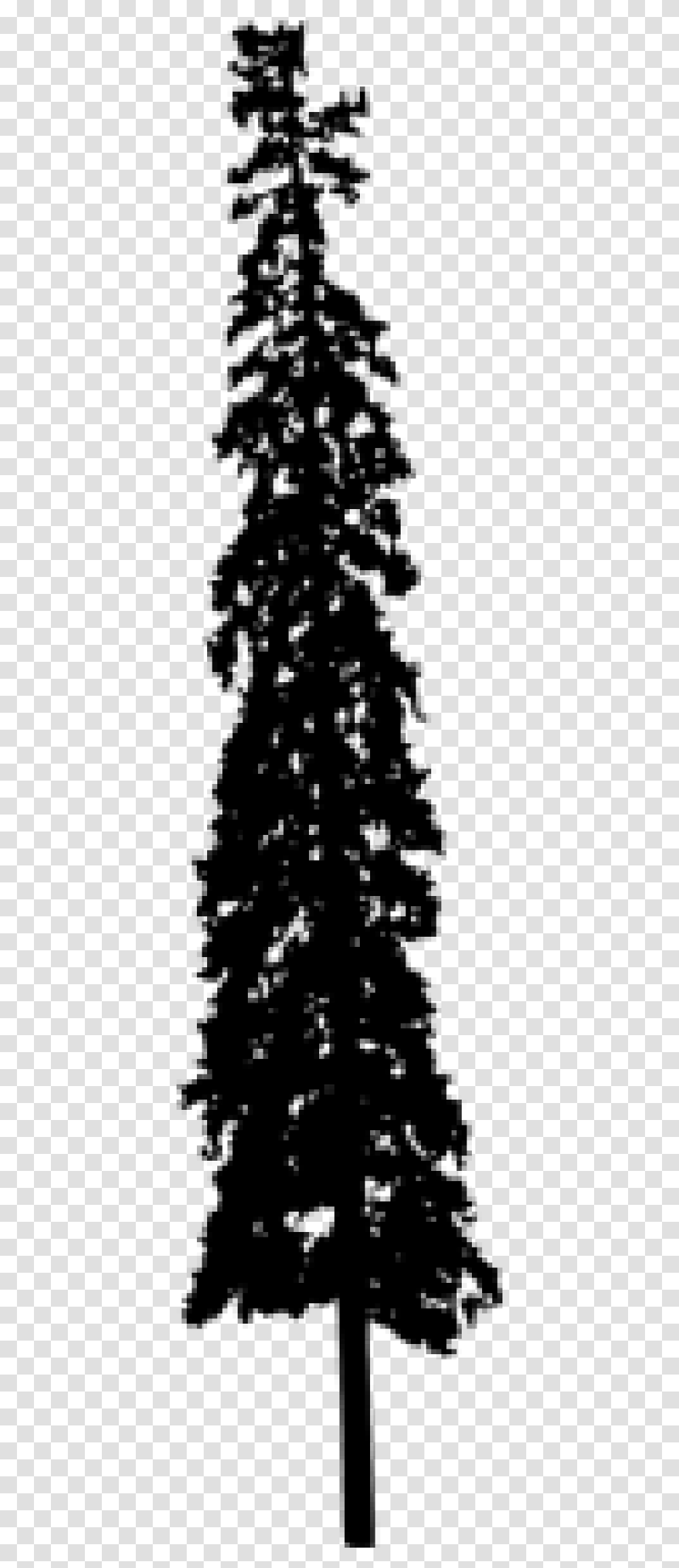 Pine Tree Silhouette Christmas Tree, Plant, Ornament Transparent Png