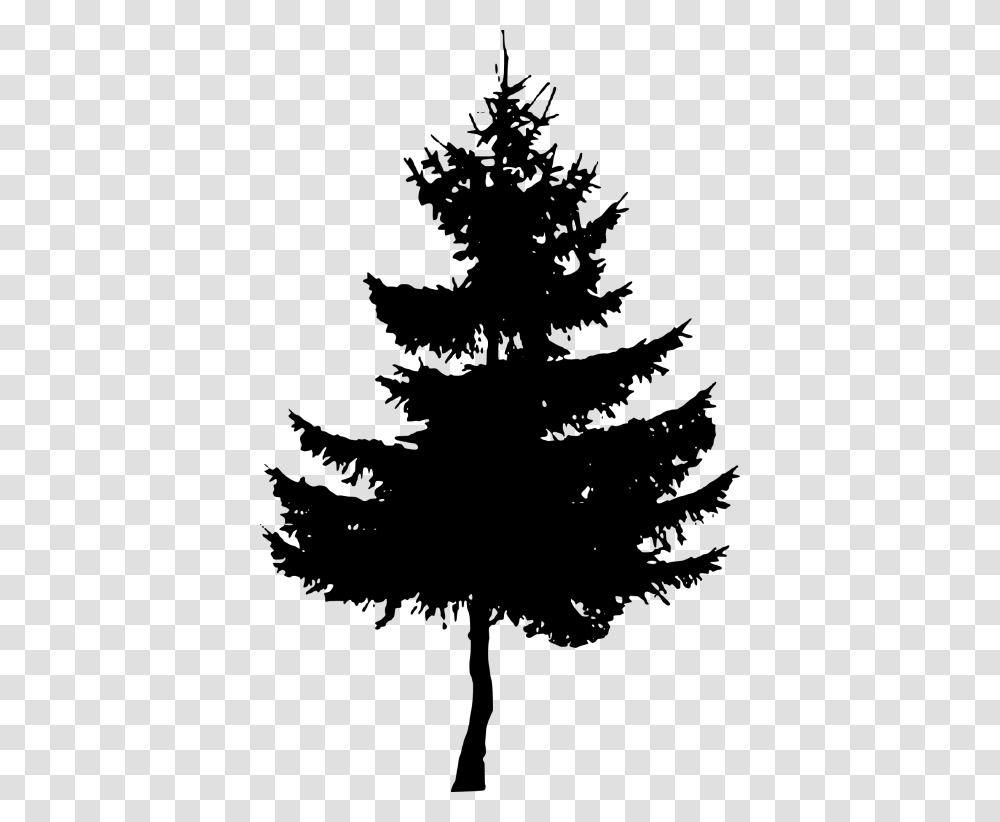 Pine Tree Silhouette Free, Plant, Fir, Abies, Conifer Transparent Png
