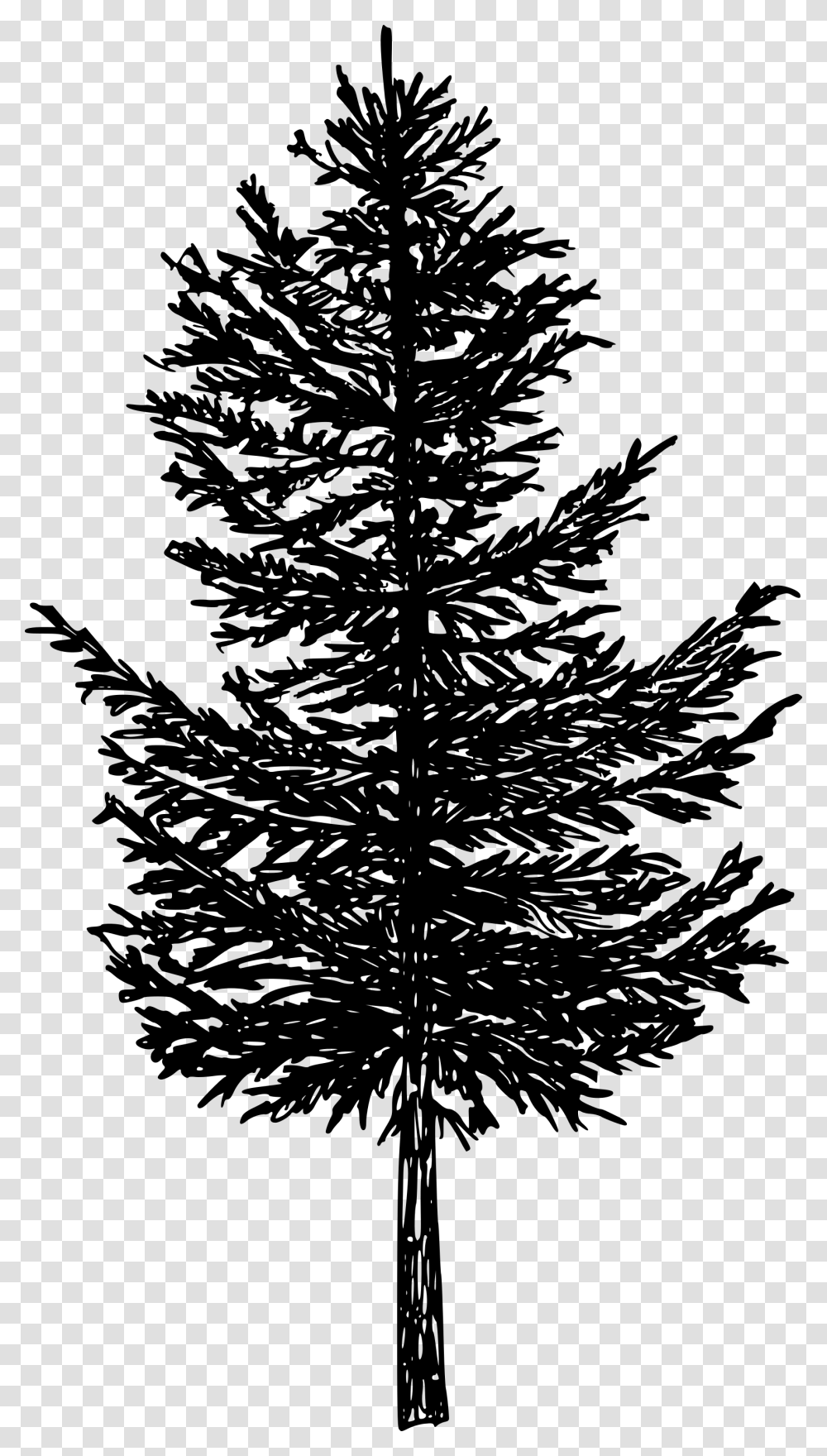 Pine Tree Silhouette, Gray, World Of Warcraft Transparent Png