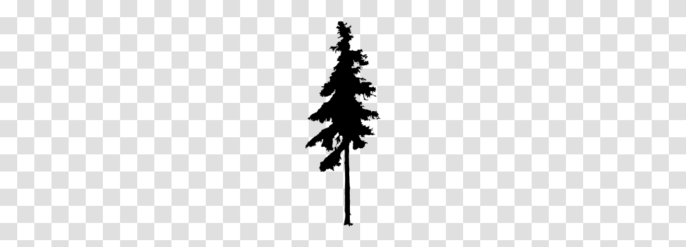 Pine Tree Silhouette, Gray, World Of Warcraft Transparent Png