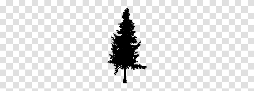 Pine Tree Silhouette, Gray, World Of Warcraft Transparent Png