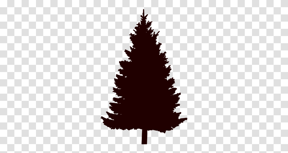 Pine Tree Silhouette Othafa Tree Care, Plant, Ornament, Christmas Tree, Fir Transparent Png