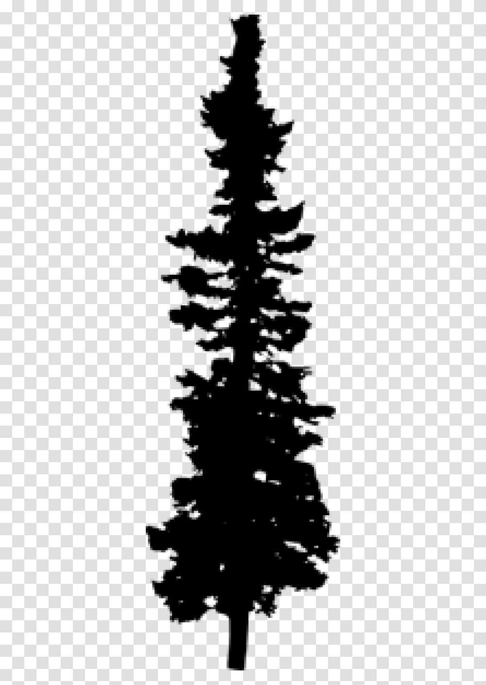 Pine Tree Silhouette Pine Tree Silhouette, Gray, World Of Warcraft Transparent Png