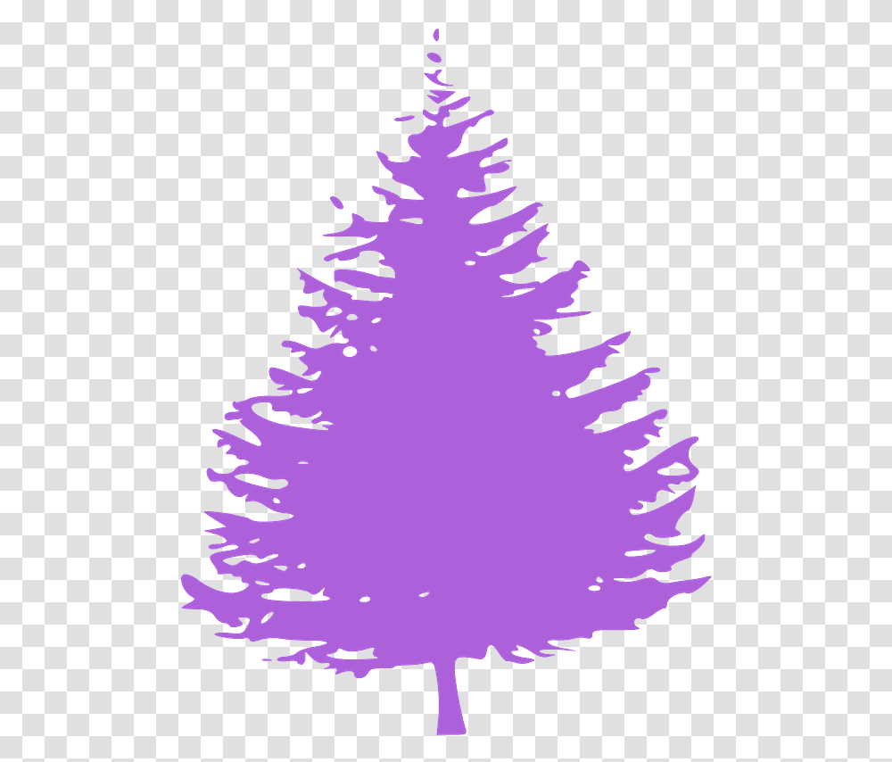 Pine Tree Silhouette Pine Tree Silhouette, Plant, Ornament, Christmas Tree, Bird Transparent Png