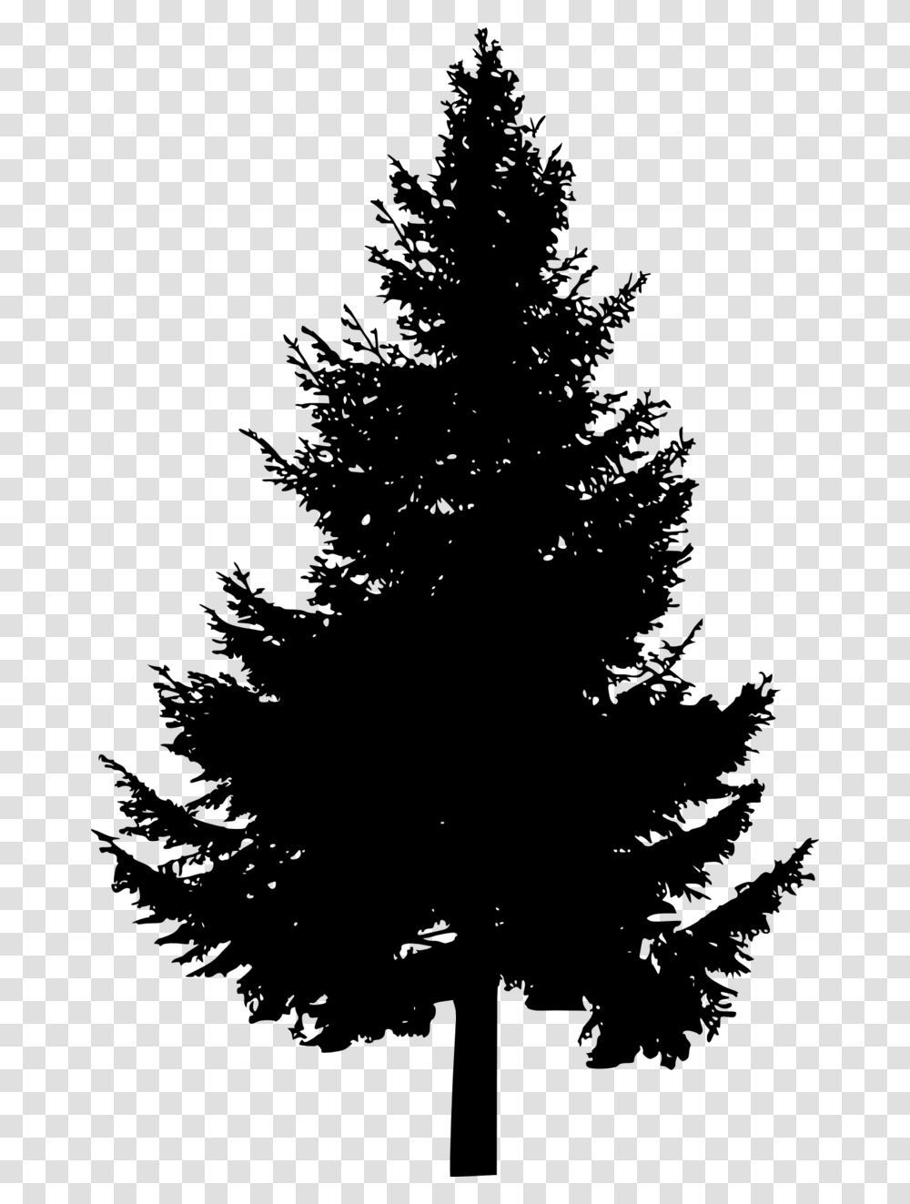 Pine Tree Silhouette Pine Tree Vector, Gray, World Of Warcraft Transparent Png