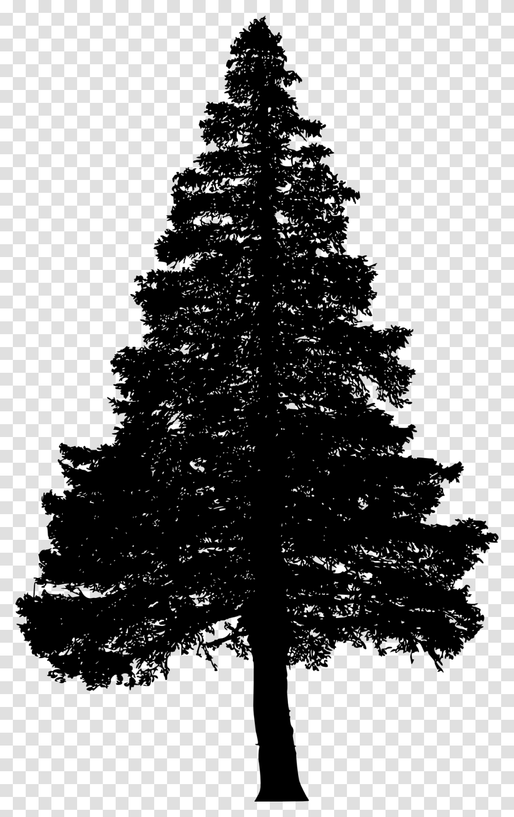 Pine Tree Silhouette, Plant, Christmas Tree, Ornament, Fir Transparent Png